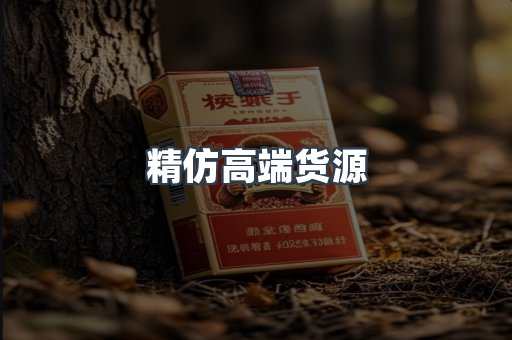 精仿高端货源